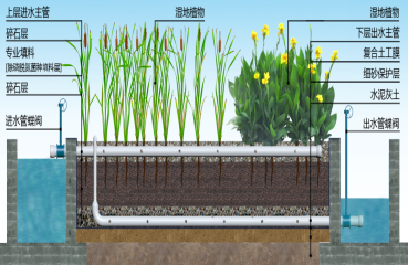 垂直潛流人工濕地系統
